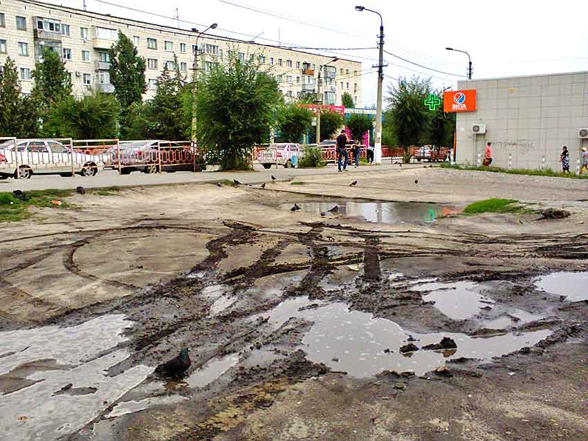 Похолодание и шторм обрушатся на Волгоградскую область