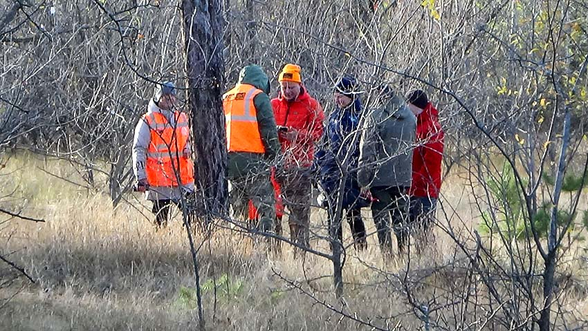 В Камышине поисково-спасательный отряд «Лиза Алерт» вывел новичков на тренировку в питомник (ВИДЕО)