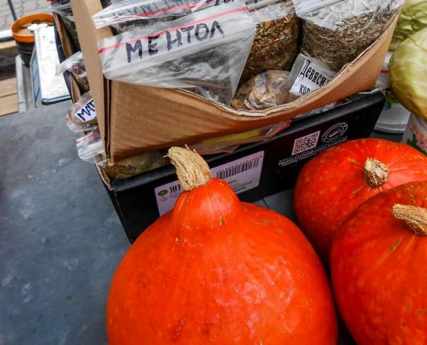 За что специалисты Роспотребнадзора воспели зимнюю тыкву