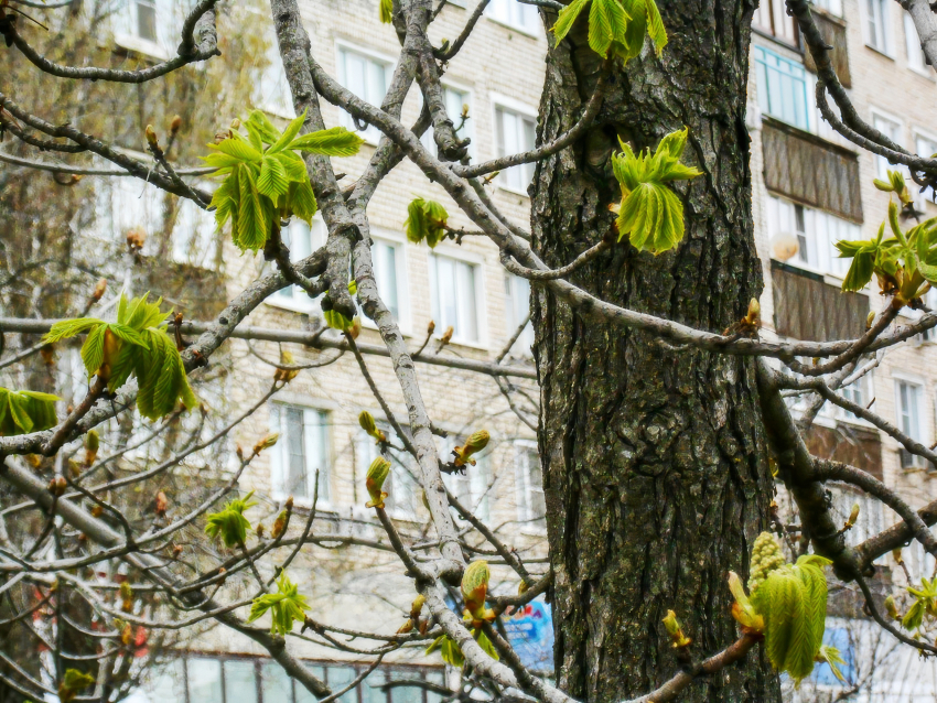 Где в Камышине сегодня, 23 апреля, продолжат отключать электричество