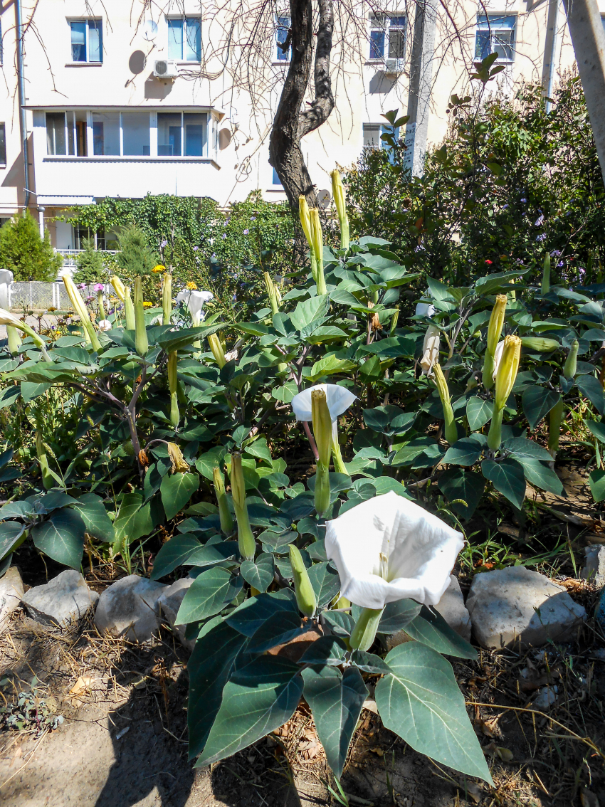 Где в Камышине коммунальщики намерены отключить свет и воду завтра, 2 сентября