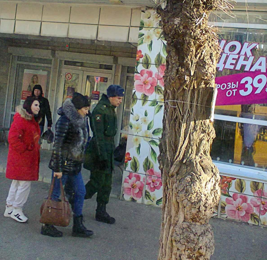 Волгоградский политолог предрек серьезную политическую перезагрузку перед выборами президента