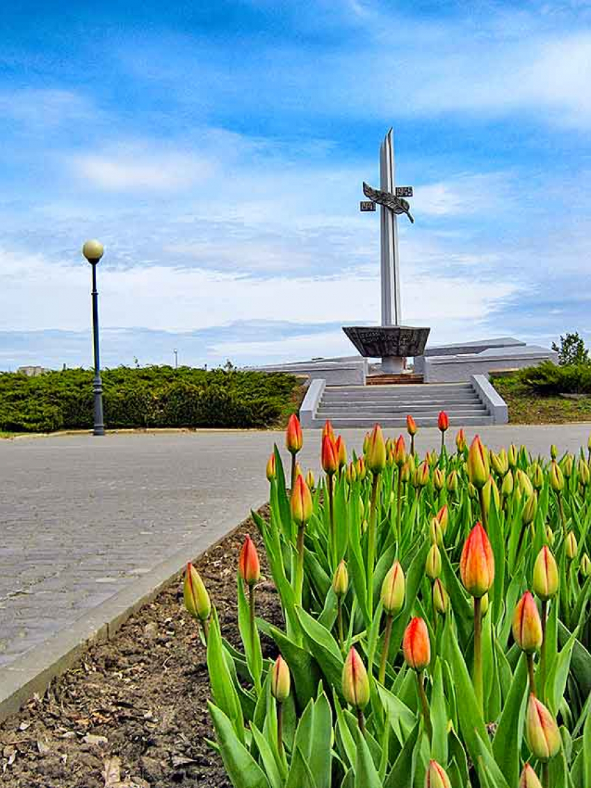 В Камышине в Первомай в Парке Победы расцветают тюльпаны и форзиция