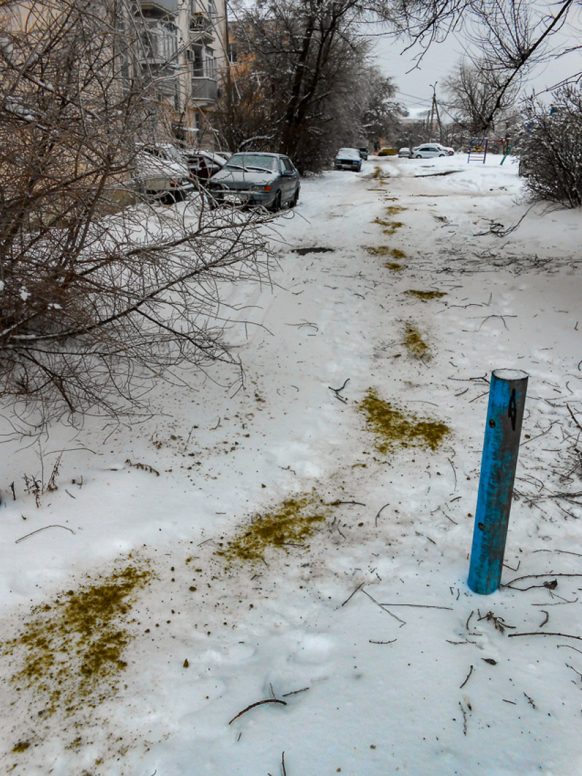 Острый дефицит дворников признали в Волгоградской области 