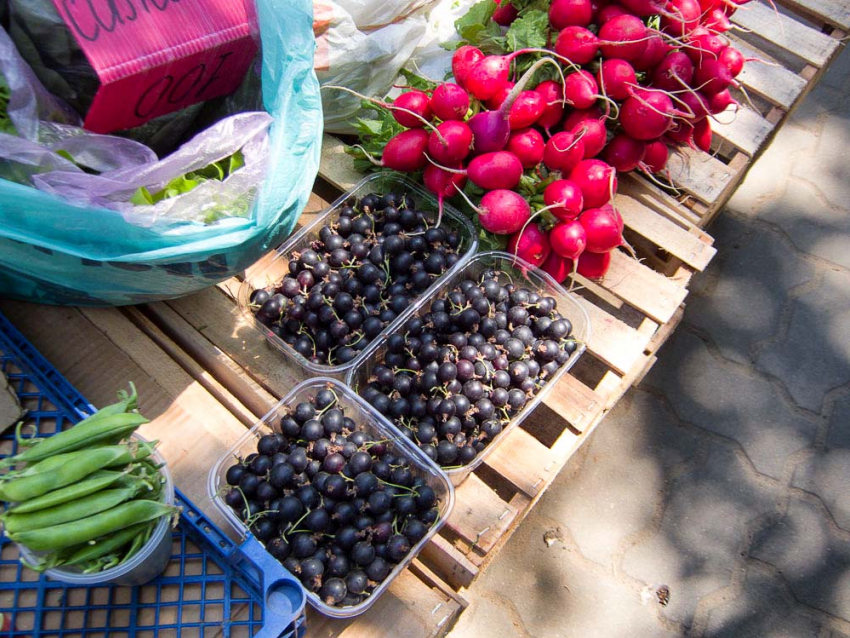 В Камышине черная садовая смородина продается по цене малины