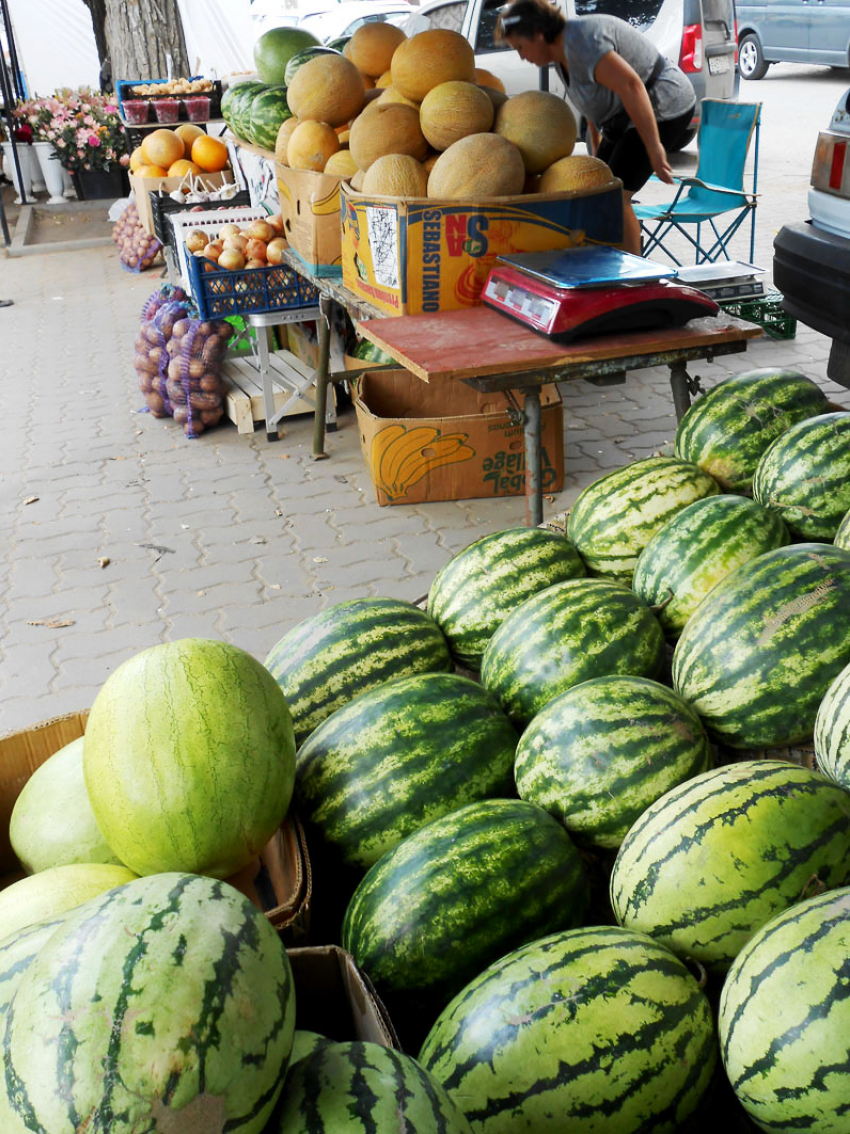 В Камышине местные арбузы стали предлагать по 30 рублей за килограмм