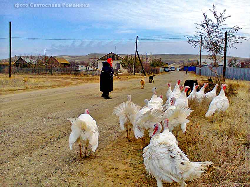 В Камышинском районе объявили о выборах главы