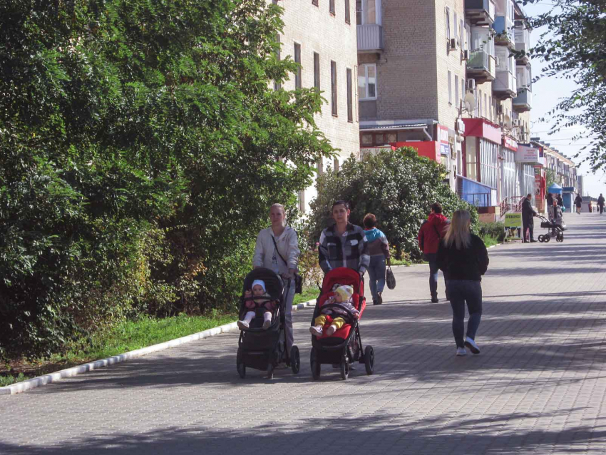 Новый сервис: в Волгоградской области регистрируют рождение детей без посещения органов загс