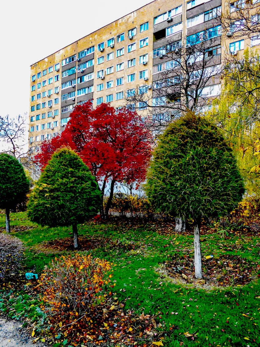  В Камышине сегодня солнечно, завтра пасмурно, но пока будет держаться «плюс": погода в День народного единства
