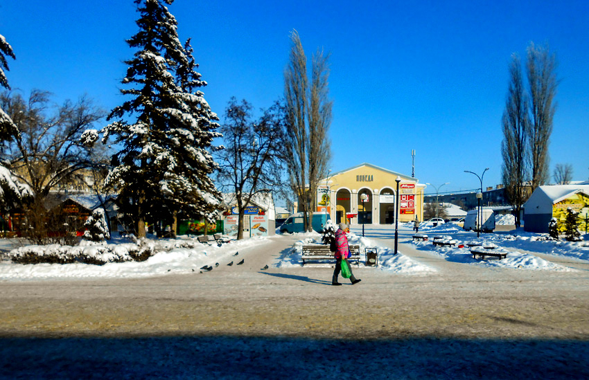 В Камышине подросток собирался рассовать по тайникам 50 свертков с наркотиком, но был задержан: он взят до суда под стражу