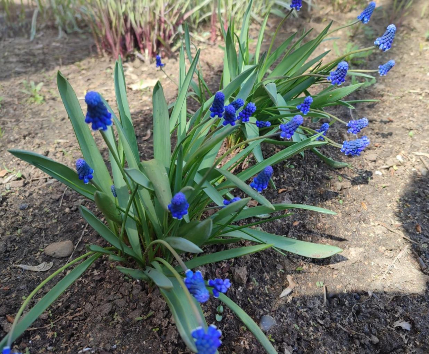 В Камышине опять зарядят дожди: погодная повестка на сегодня, 19 апреля