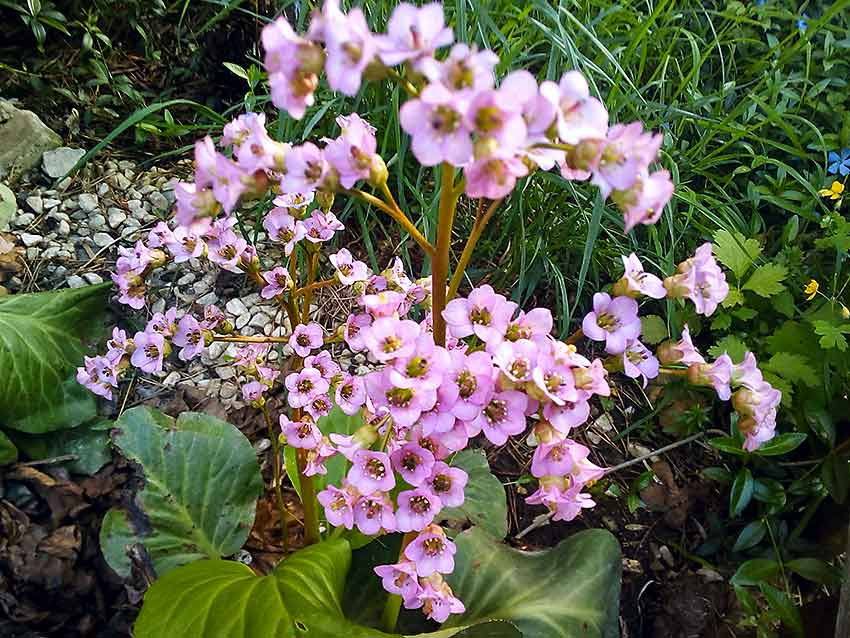 Суббота в Камышине окажется свежей и временами дождливой