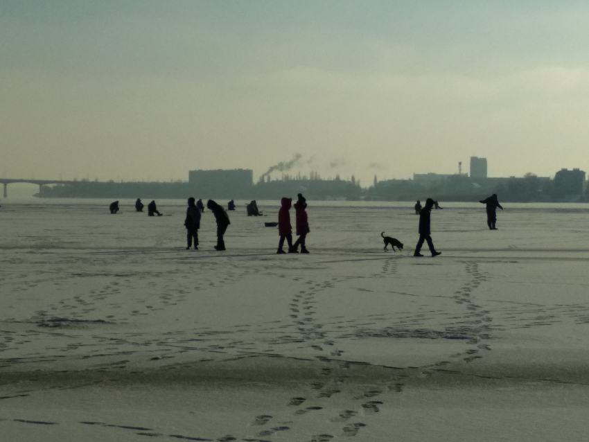 Несмотря ни на какие предостережения спасателей, камышане устроили субботним утром массовые прогулки по только что замерзшей реке