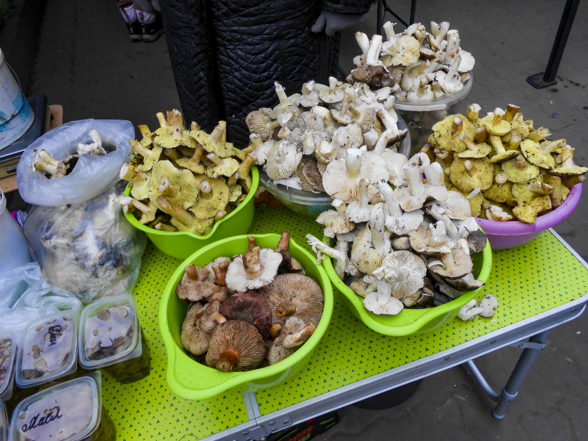 На камышинских рынках случился декабрьский грибной бум