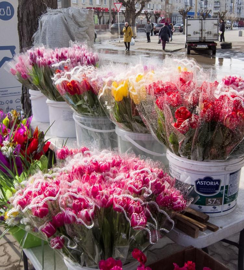"Цветочные» оптовики предупреждают, что тюльпаны могут оказаться «золотыми» к 8 Марта в этом году