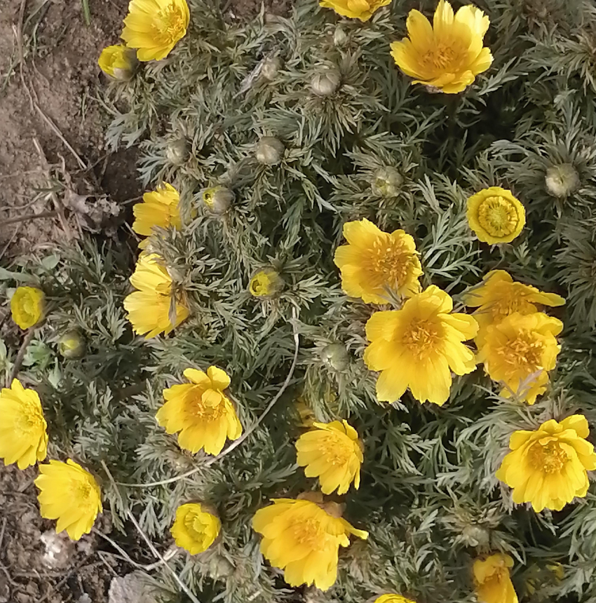 Тепло и солнечно: погода  в Камышине на выходные