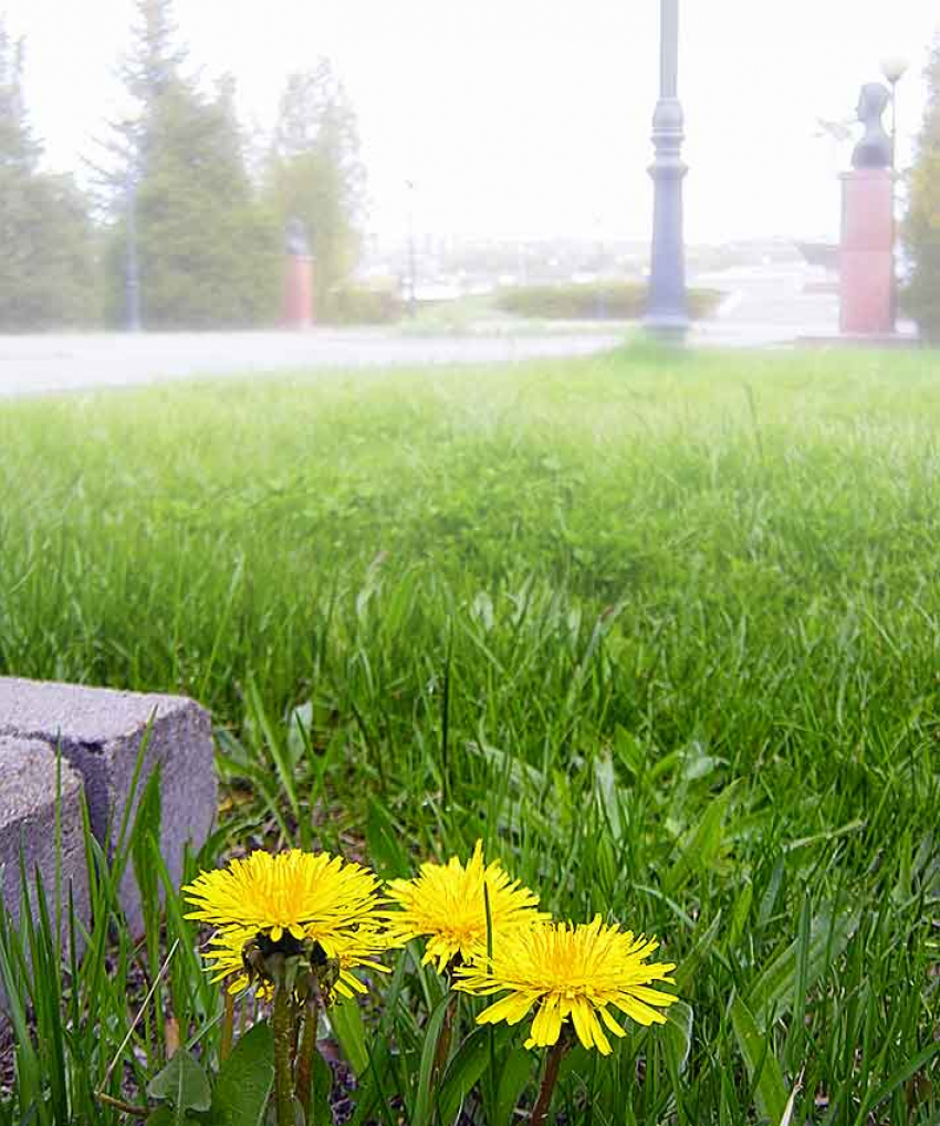 Среди камышан, по данным на 15 мая, не заразился коронавирусом никто, а умерли от него двое