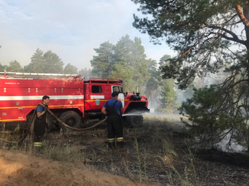 В Даниловском районе горит 200 гектаров леса, который тушат и камышинские пожарные (ВИДЕО)