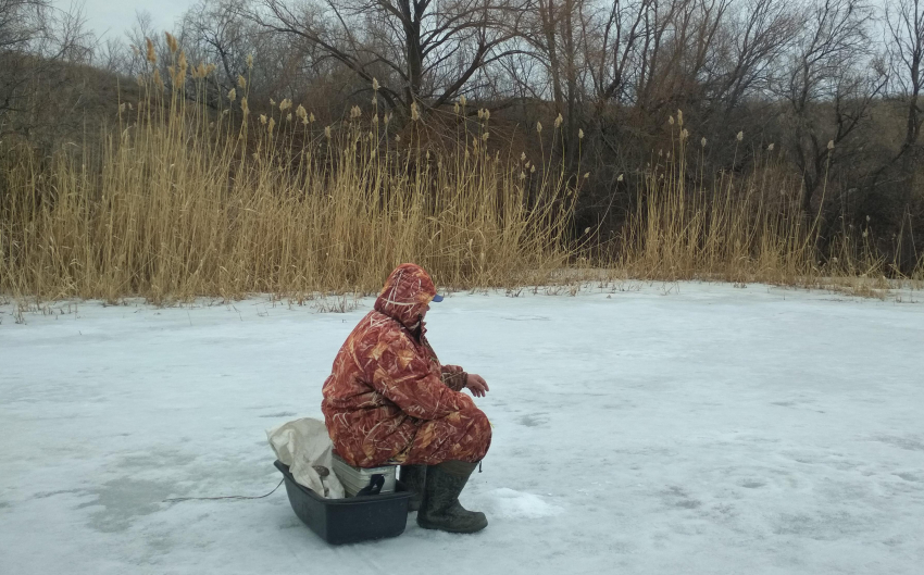 Камышинские фанаты зимней рыбалки сегодня, 27 марта, «обжили» заливы у Волги