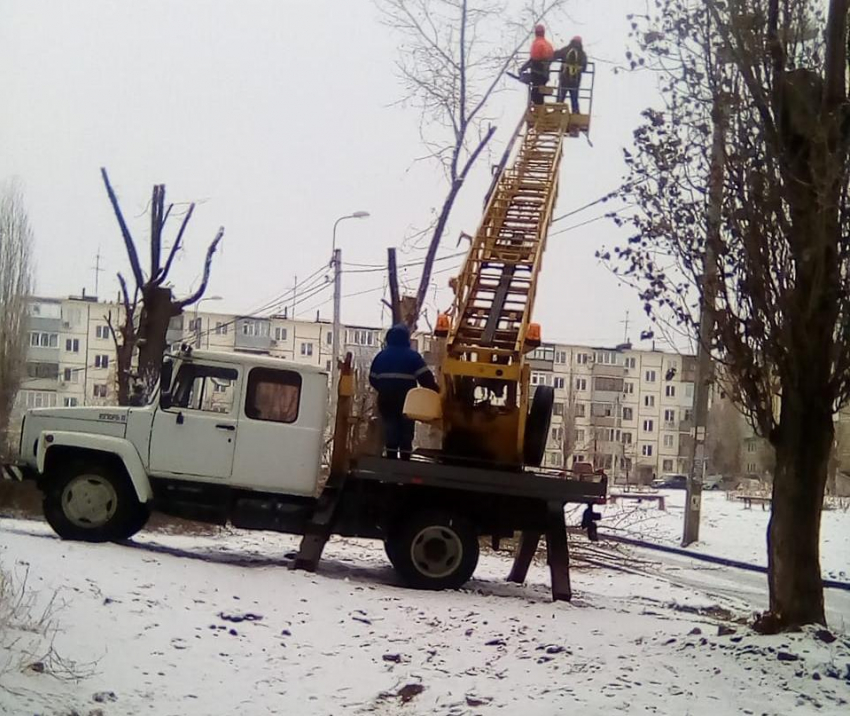 В Камышине, несмотря на выпавший снег, продолжается обрезка деревьев