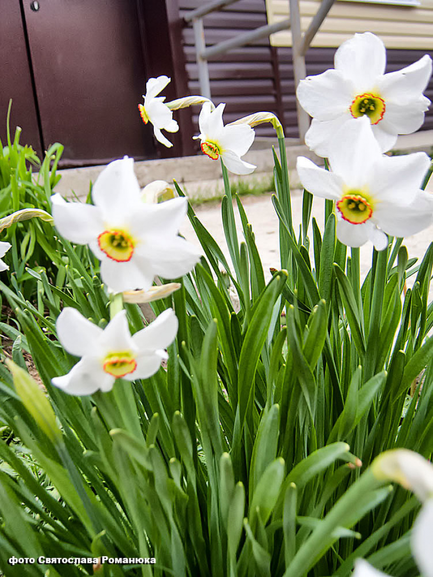 Синоптики отменили дождь в субботу 22 апреля в Камышине, но +17 не отменили