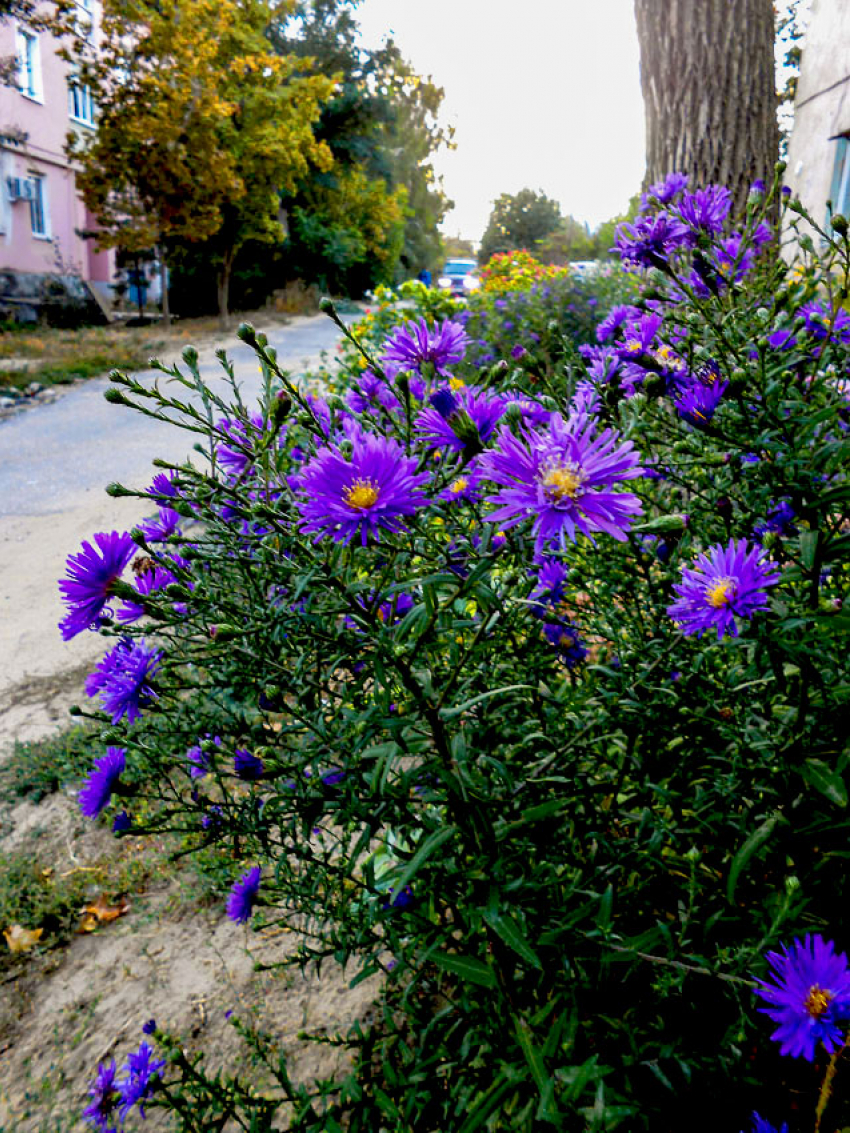 ГУ МЧС предупредило жителей Волгоградской области о заморозках