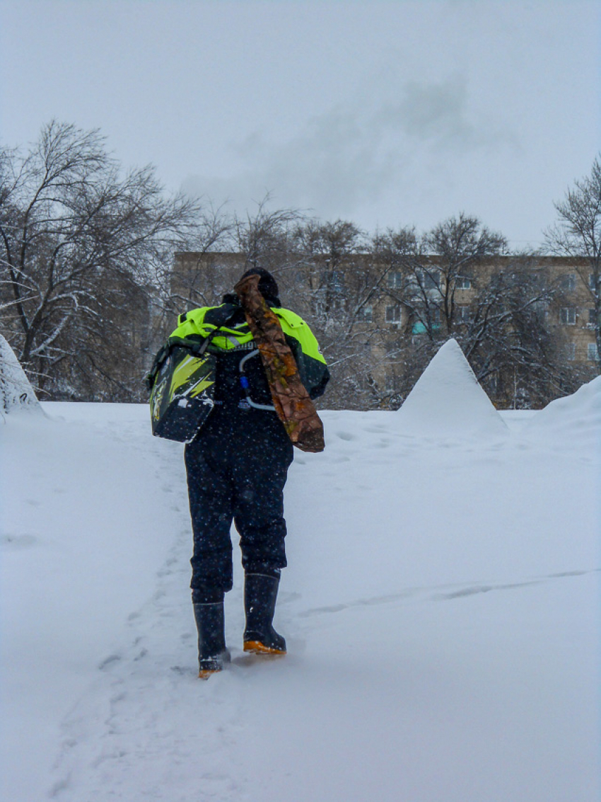 Камышан подстерегает гонконгский грипп