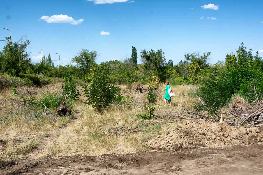 Камышане просят власти скосить сухую траву по городу во избежание возгораний