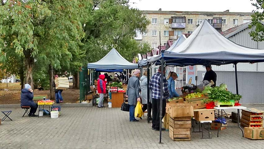 Печальный перекос зарплат зафиксирован в Волгоградской области