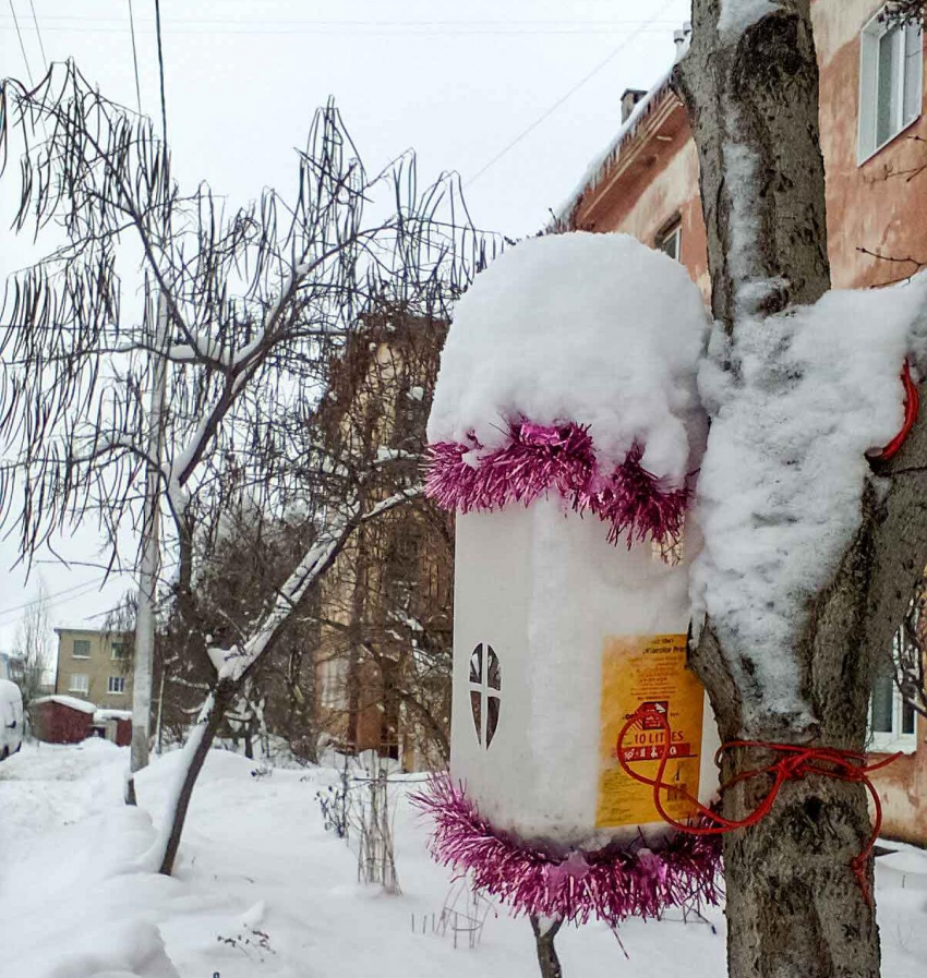 В Камышин перед Женским днем неожиданно вернулась зима со снежной бурей