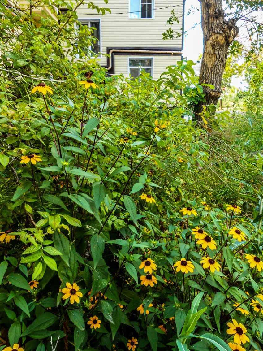 Свет и воду в нескольких домах отключат камышинские коммунальщики 24 сентября