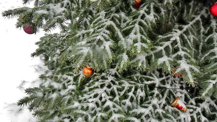 Было бы приятно родителям погибших героев получить новогодние открытки, - камышанка