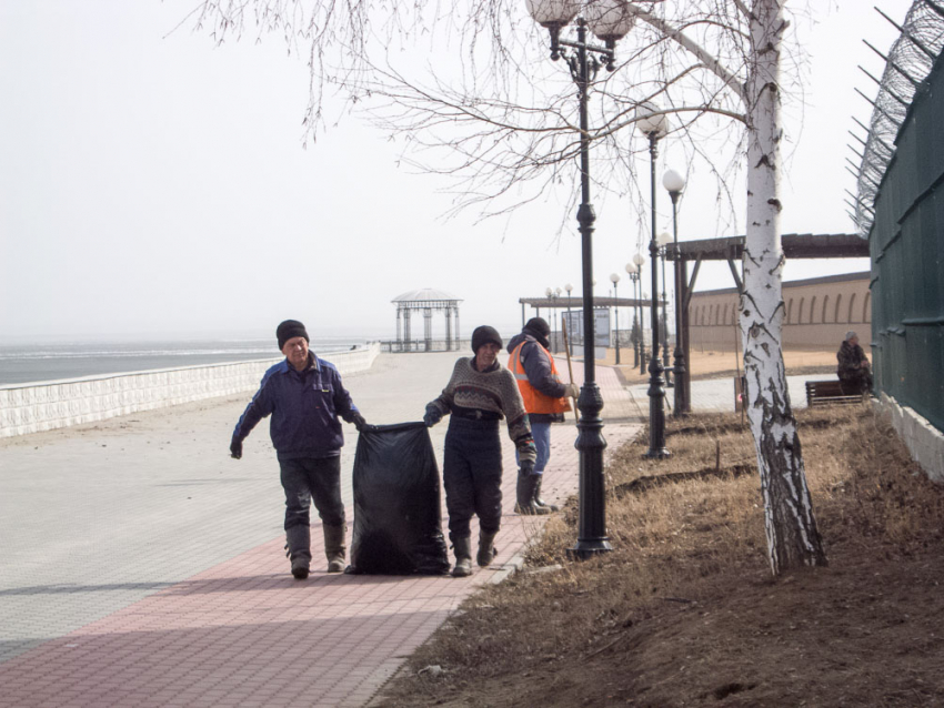 В Камышине уборку города начали с парка «Топольки» и набережной Камышинки, а жители спрашивают, когда пройдет высадка деревьев взамен вырубленных