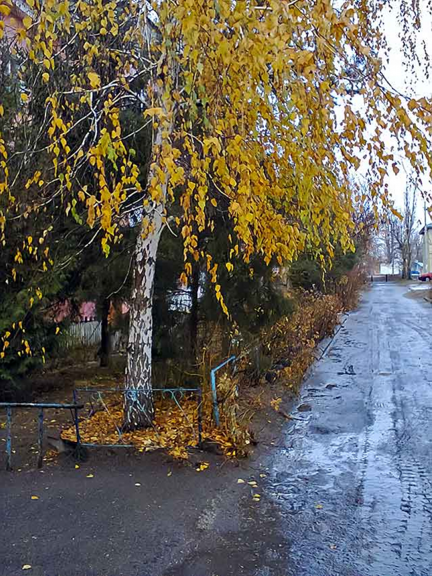 В Камышине сохранится пасмурная погода и маленький «плюс"