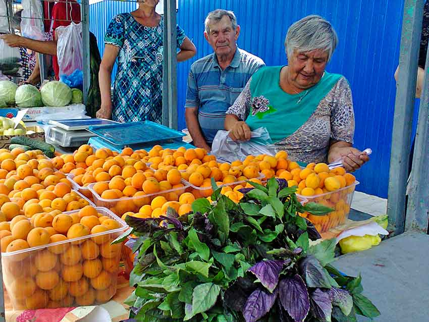 В Волгоградской Облдуме решили продлить жизнь сельхозрынков под открытым небом в нашем регионе