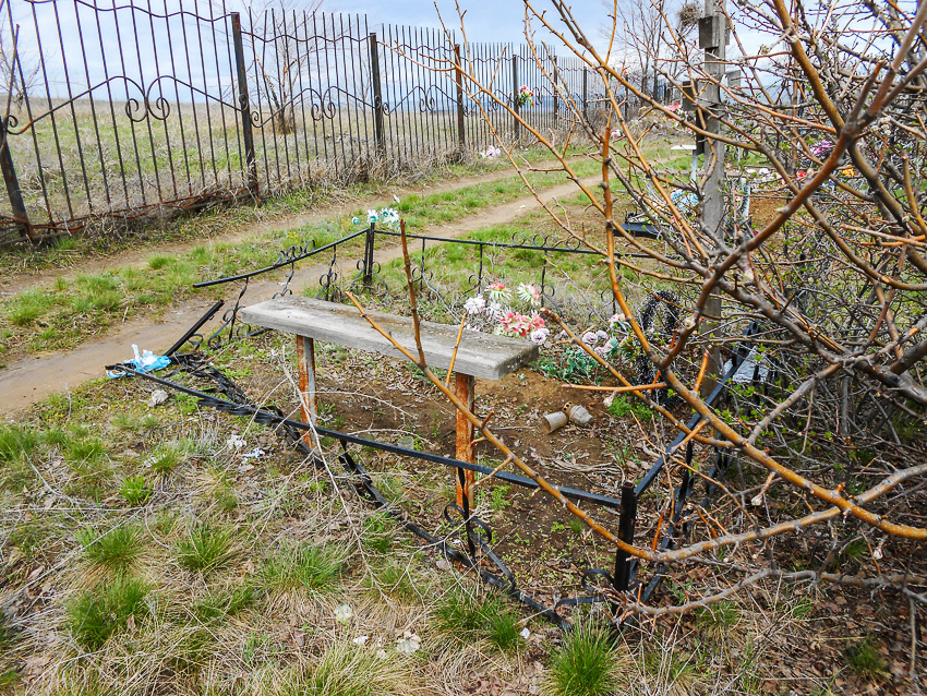 "Ну, как у нас в Камышине следят за кладбищем? - сердце на части рвется!"