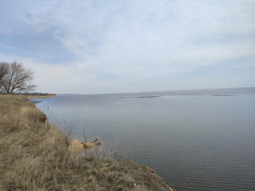 В акватории Камышина Волга стремительно очищается ото льда