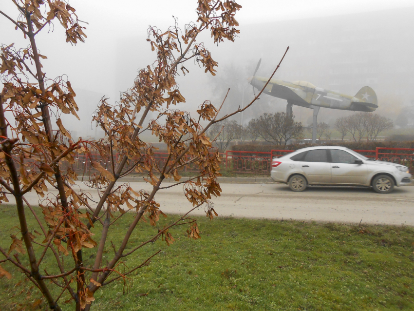 О двух «желтых» уровнях опасности предупредили камышан