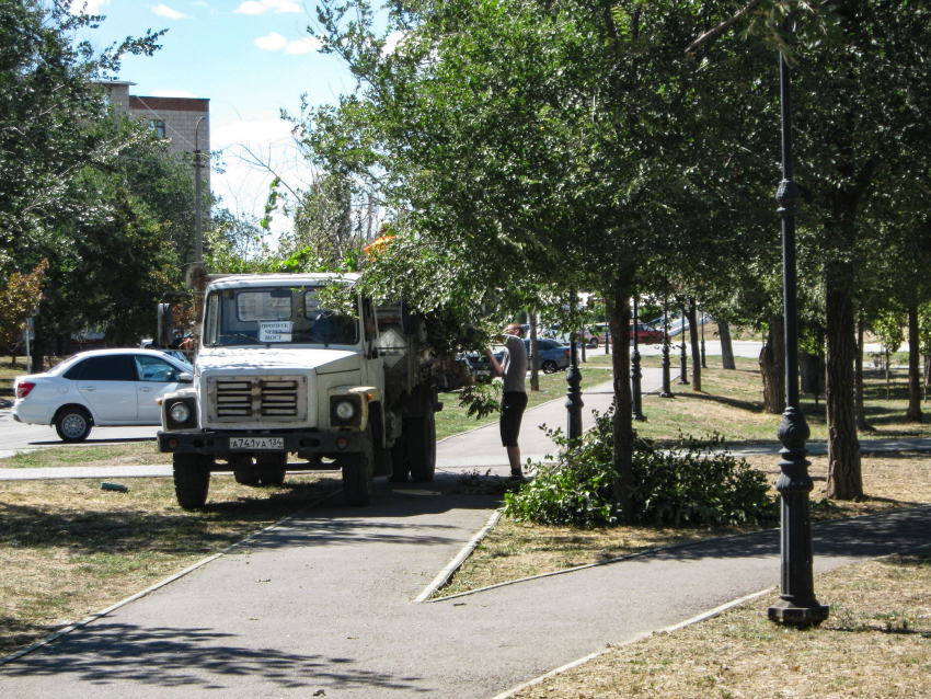 В Камышине начали расчищать парк «Топольки» к Арбузному фестивалю
