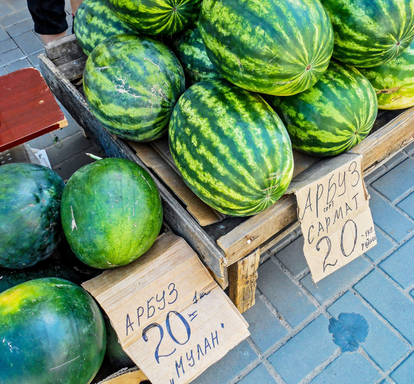 "Прилавки Камышина завалили дешевыми арбузами, а откуда плоды - не говорят", - камышанка