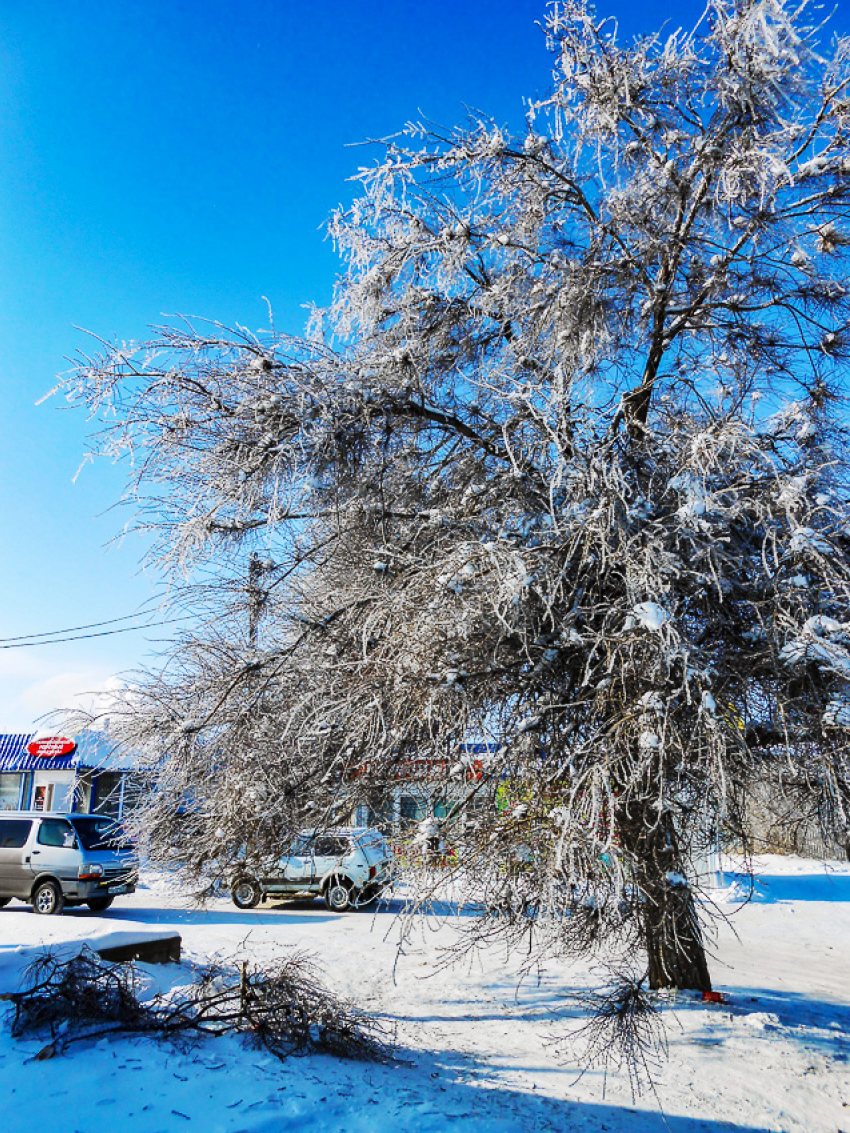Какими задачами «нагрузил» Андрей Бочаров лично глав муниципалитетов в связи с морозами