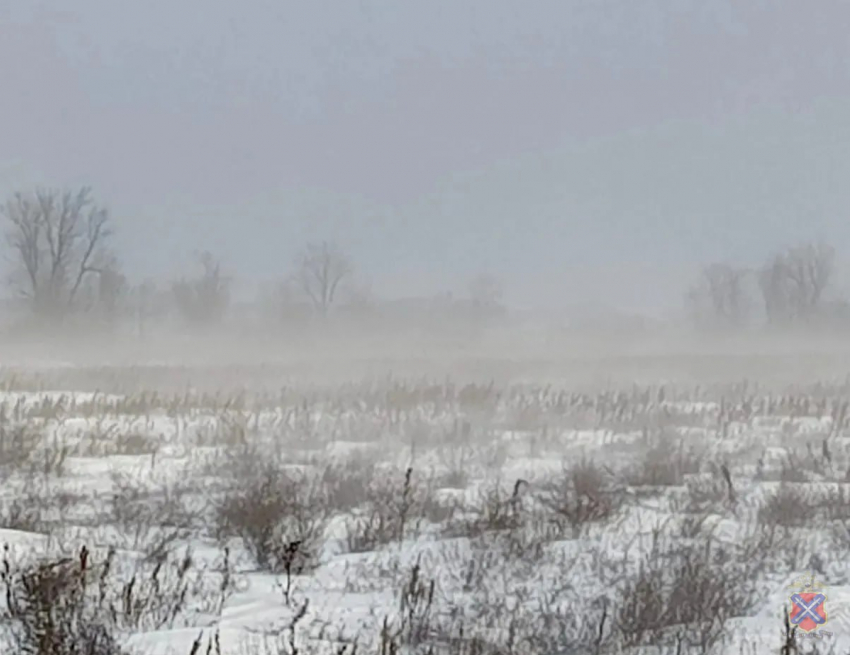 Чабан из Палласовского района Волгоградской области без вести пропал в арктический шторм, спасая овец  
