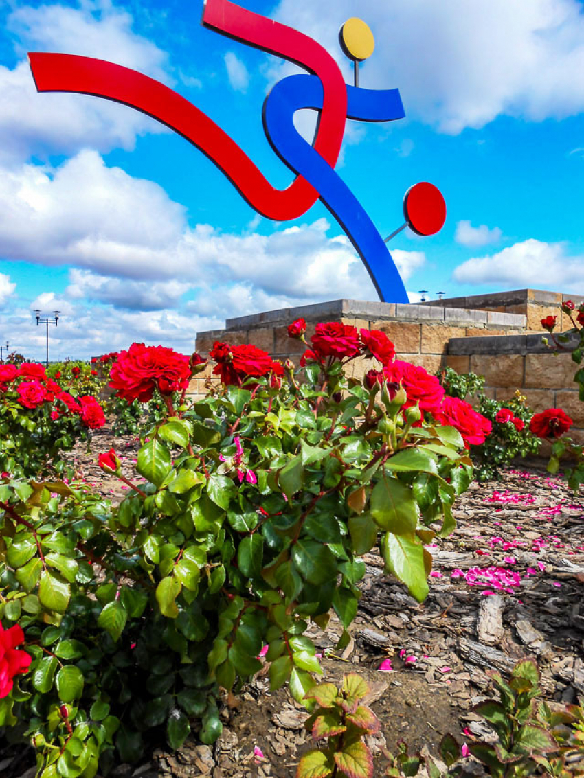 В Камышине 8 сентября продолжится лето: погодная повестка на понедельник