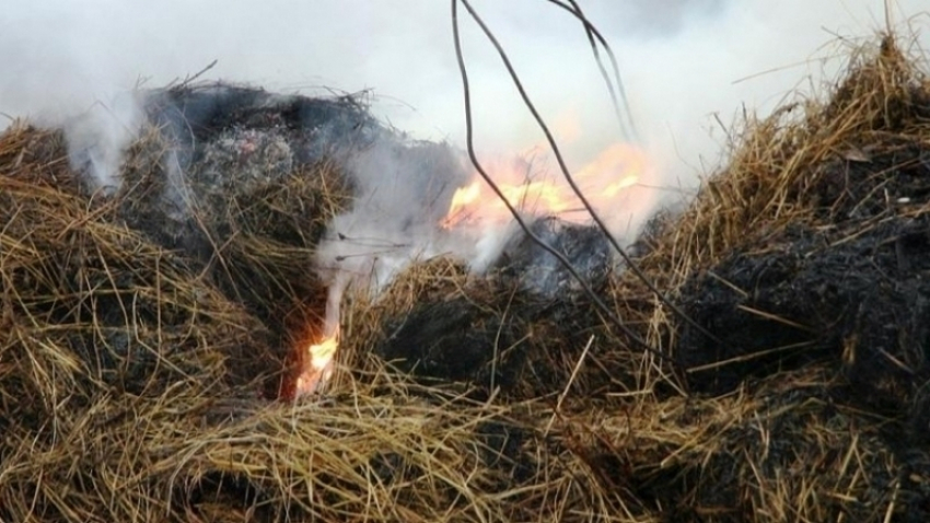 Под Камышином  в селе сгорело пол тонны сена