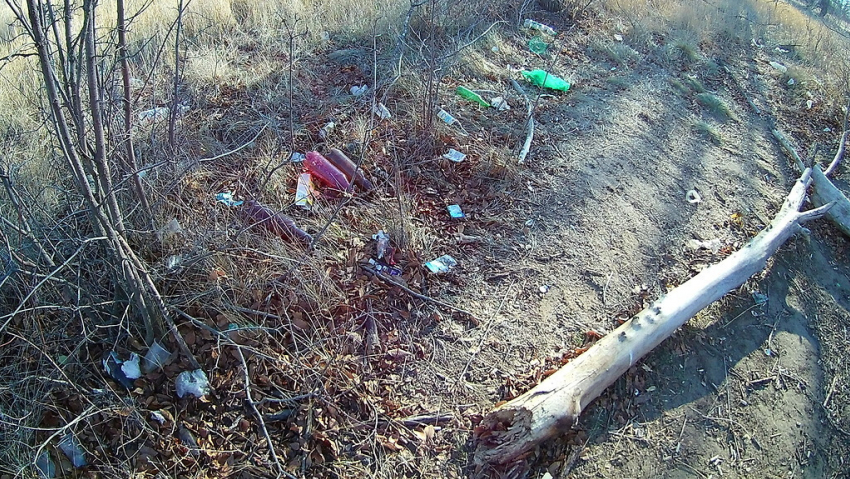 Единственный лесопарк Камышина превращается в мусорный полигон