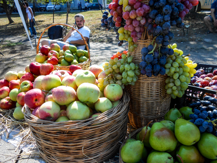 Самым красивым компонентом фруктовых ваз на Арбузном фестивале в Камышине стал виноград, цену же на него «загнули» по максимуму