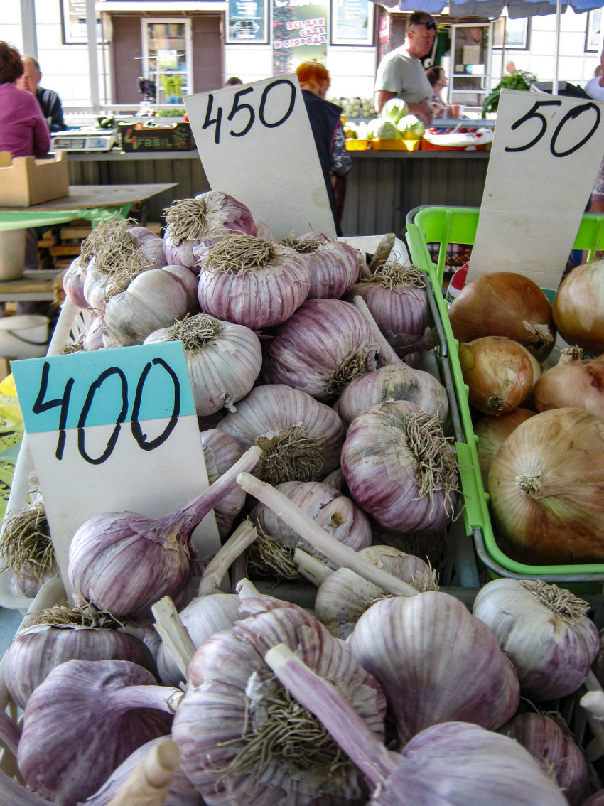 В Камышине чеснок побил рекорды дороговизны на овощных прилавках