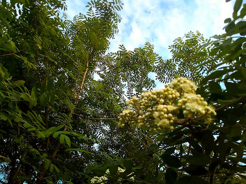 В Камышине на улице Юбилейной обнаружен труп покончившего с собой мужчины