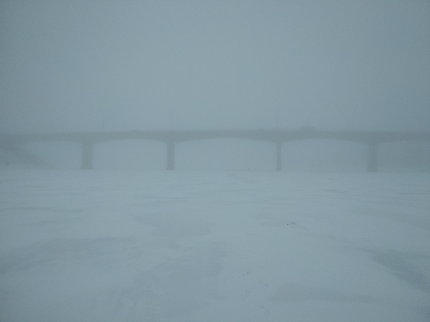 Камышин неожиданно окутал плотный туман