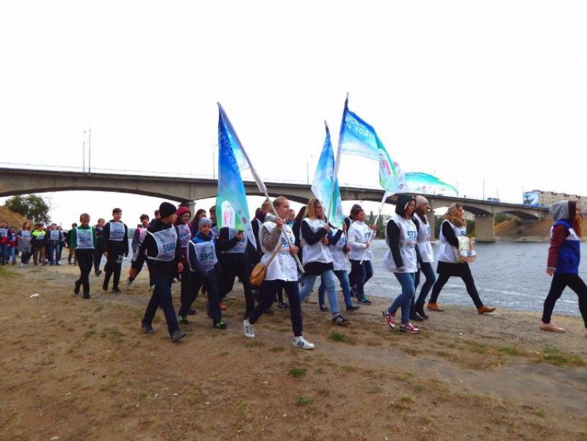 В Камышине более 400 человек приняли участие во Всероссийский День ходьбы
